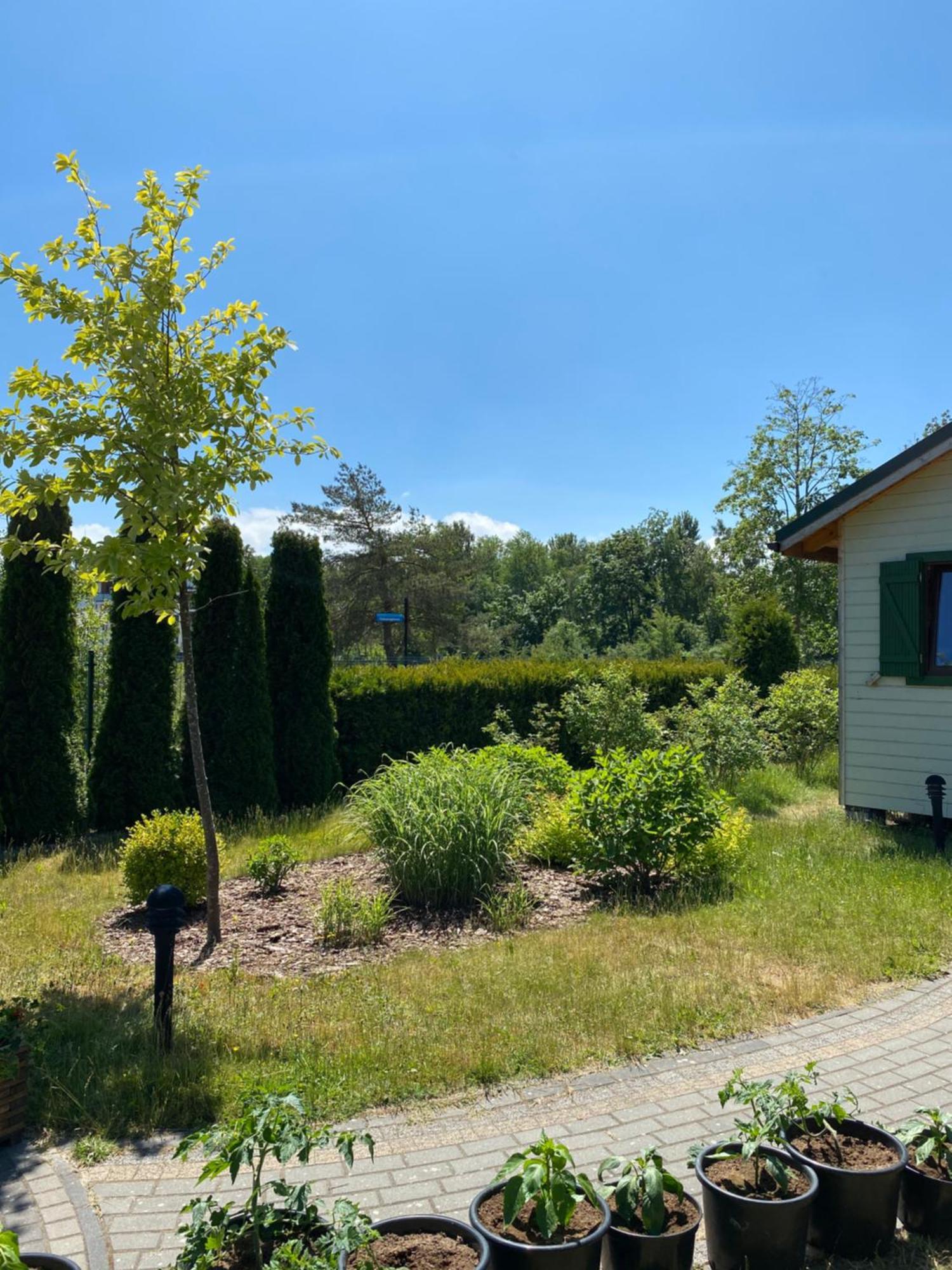 Sloneczna Polana Villa Mielno  Buitenkant foto